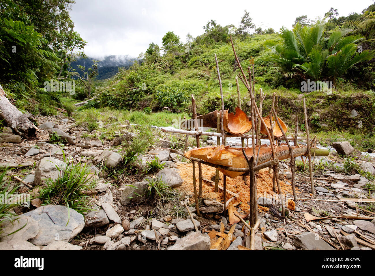 Primative yet usefull tools for making sago a staple food in Papua New Guinea and Indonesia Stock Photo