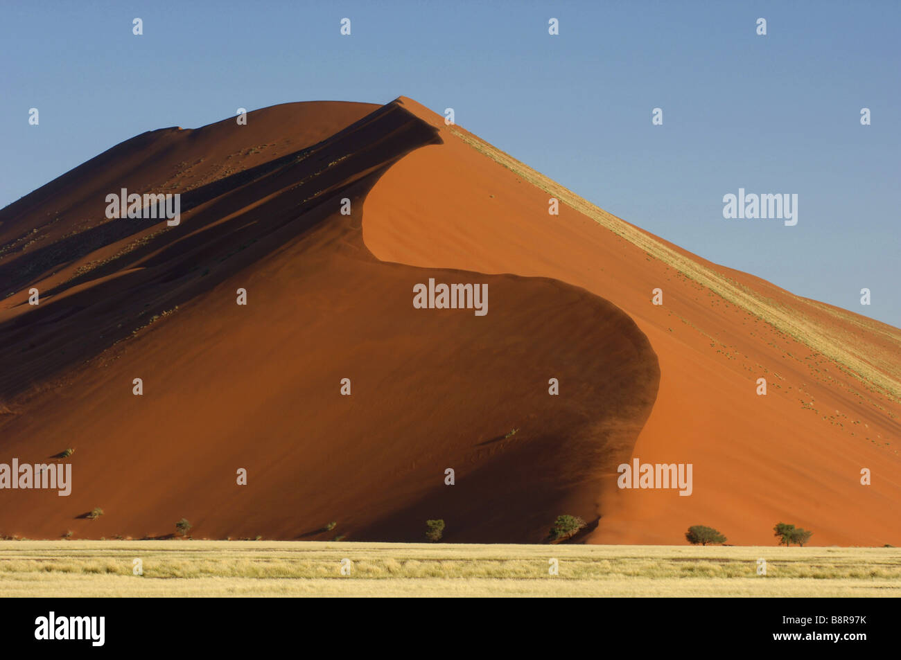 dunes of Sossusvlei, Namibia Stock Photo - Alamy