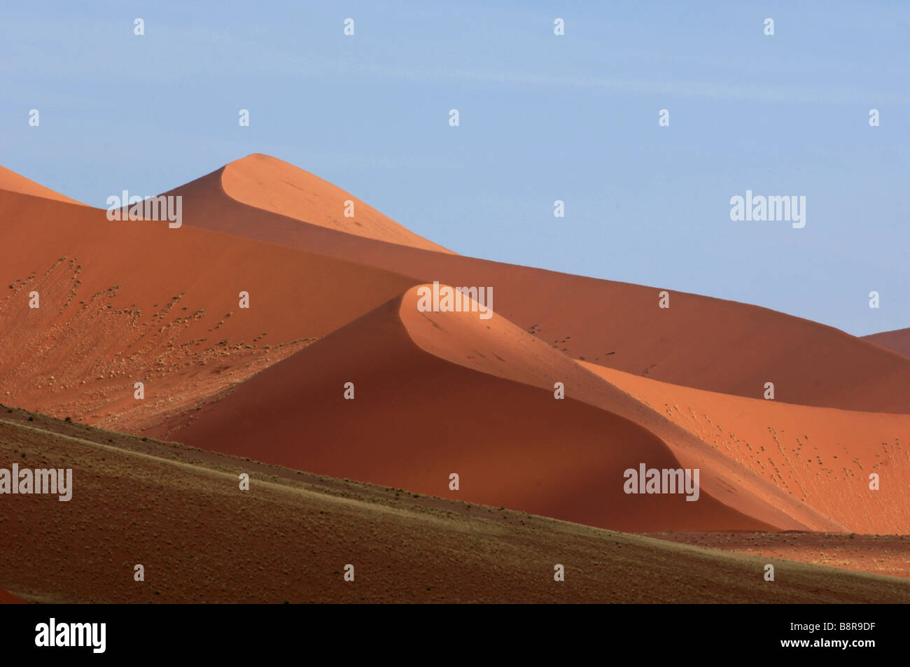 dunes of Sossusvlei, Namibia Stock Photo - Alamy