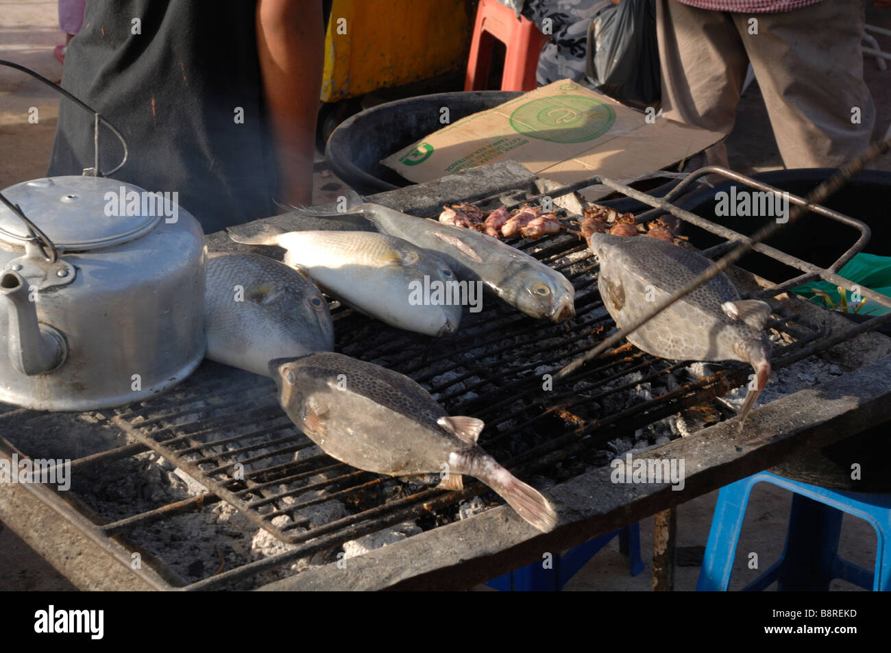 Puffer fish cooking on barbecue Kota Kinabalu Sabah Malaysia Borneo
