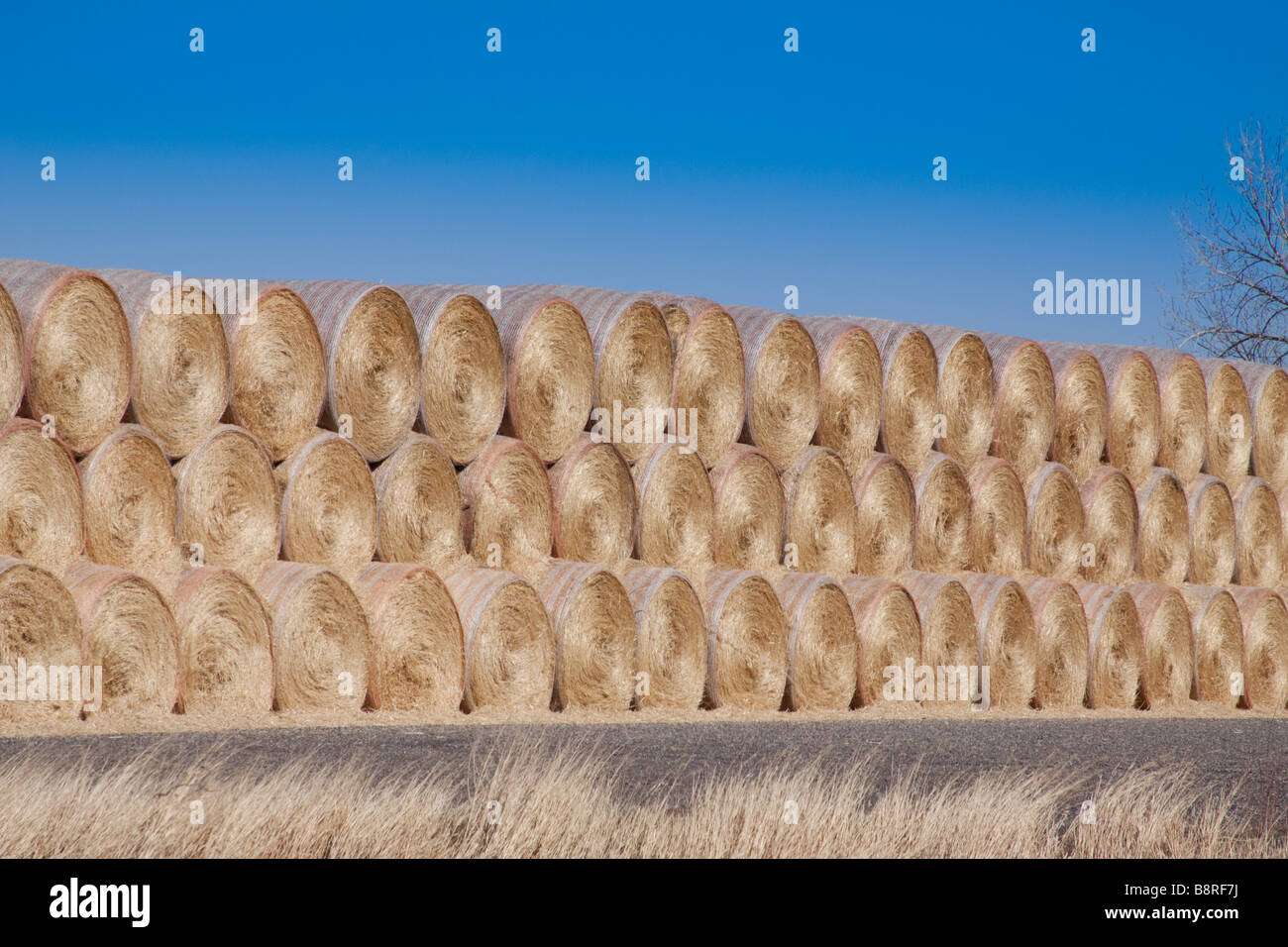 Rolls of hay Stock Photo Alamy