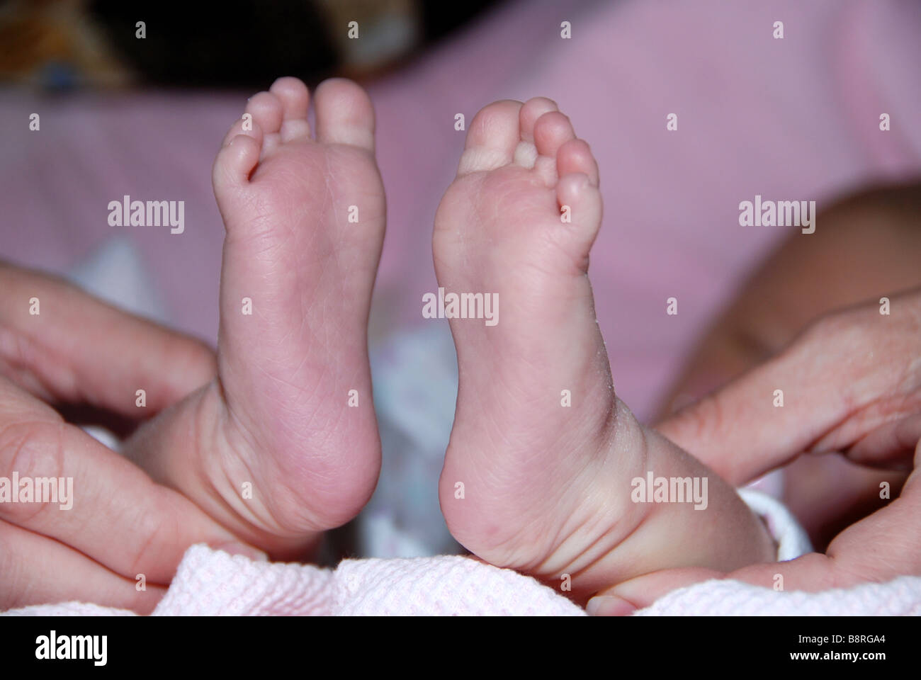 Mother holding newborn baby's small feet Stock Photo