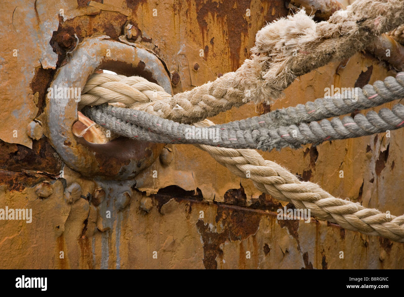 Grytviken, South Island, UK Shipwreck mooring lines Stock