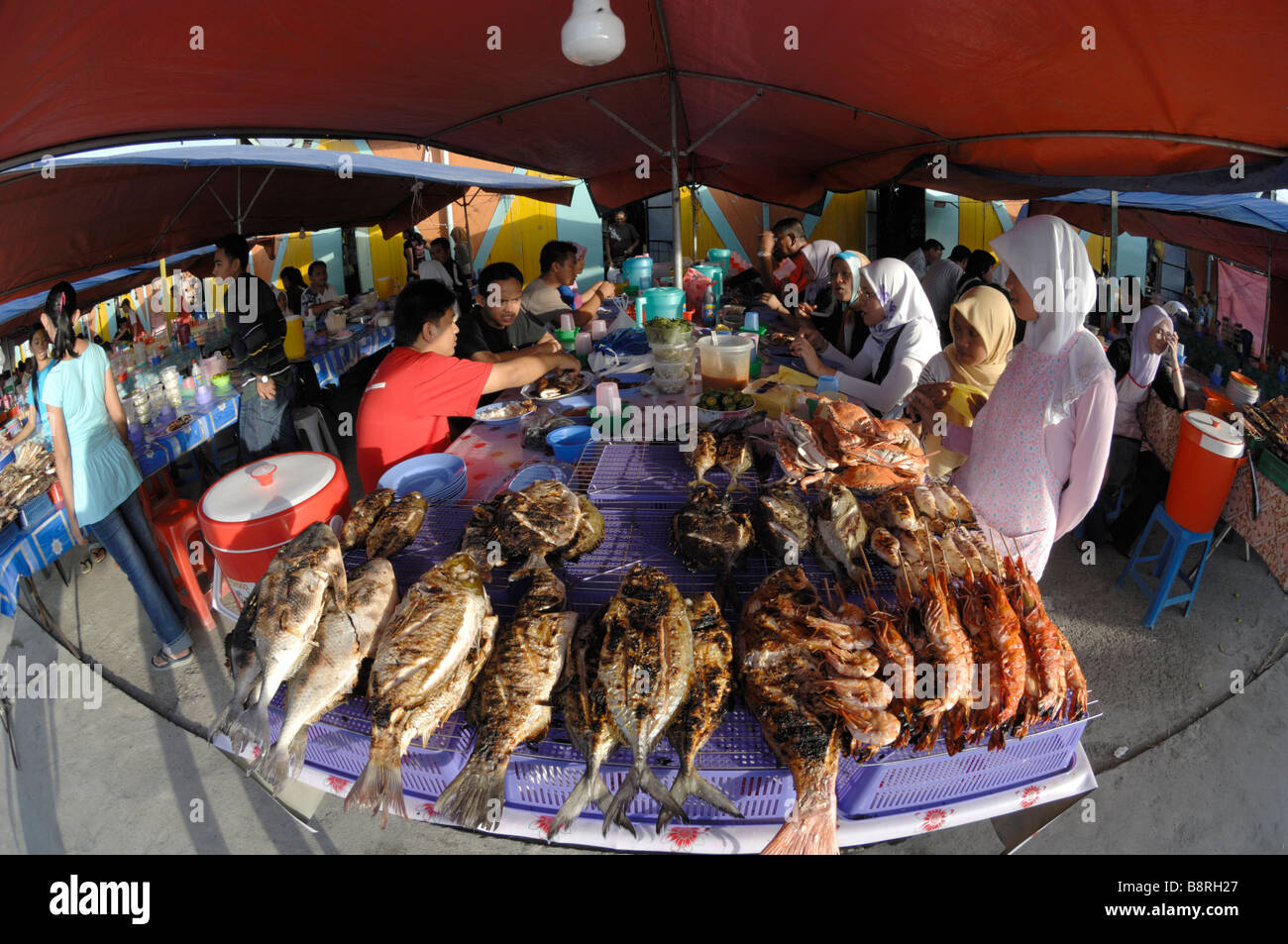 Barbecued fish sale restaurant kota hires stock photography and images