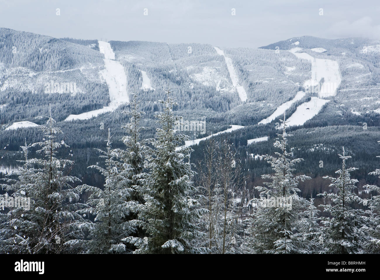 Stampede Pass and surrounding forest and utility corridors in the Central Washington Cascades USA Stock Photo