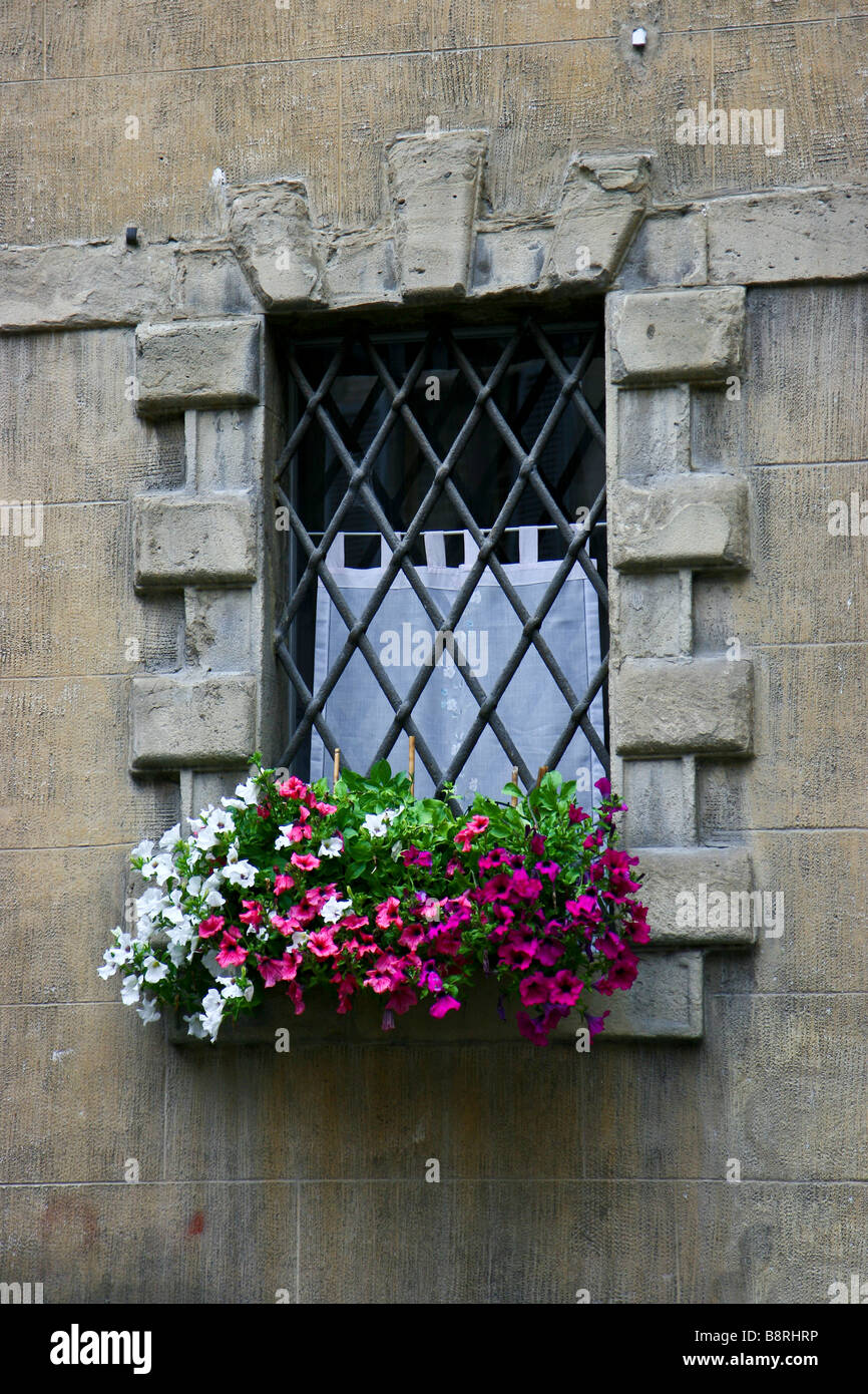 Window Box In Siena Tuscany Stock Photo - Alamy