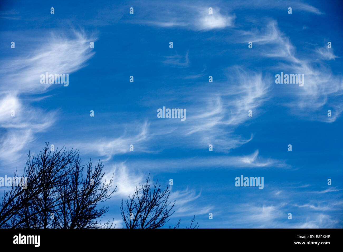 Cirrus clouds float across a blue sky. Stock Photo