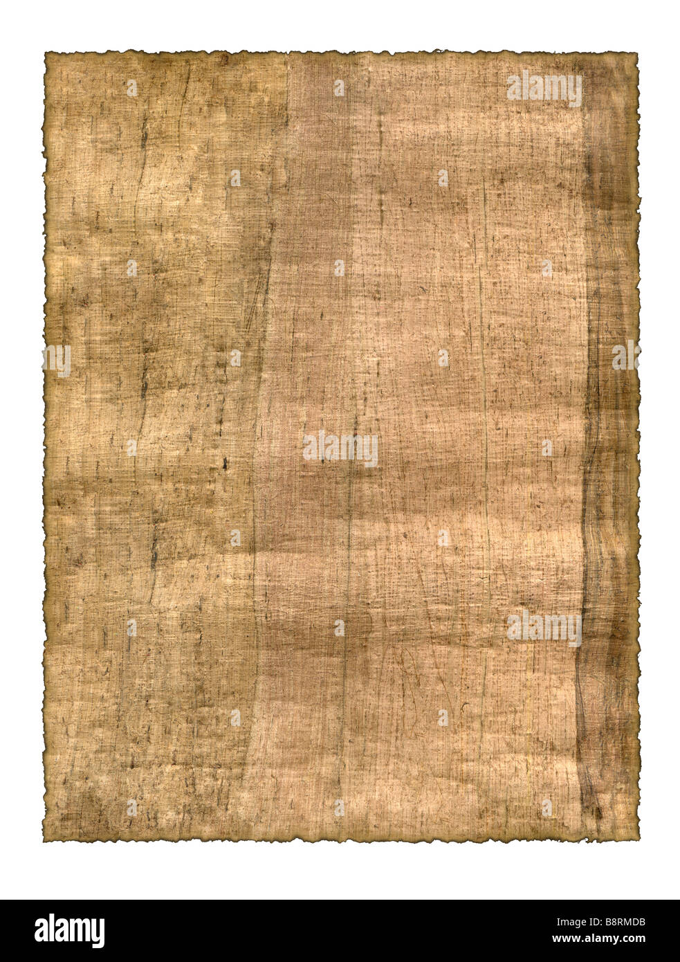 Parchment A fragment of the Egyptian parchment made in 19 century Stock