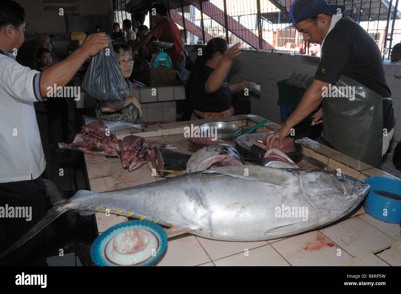 Yellowfin tuna sale at market hires stock photography and images Alamy