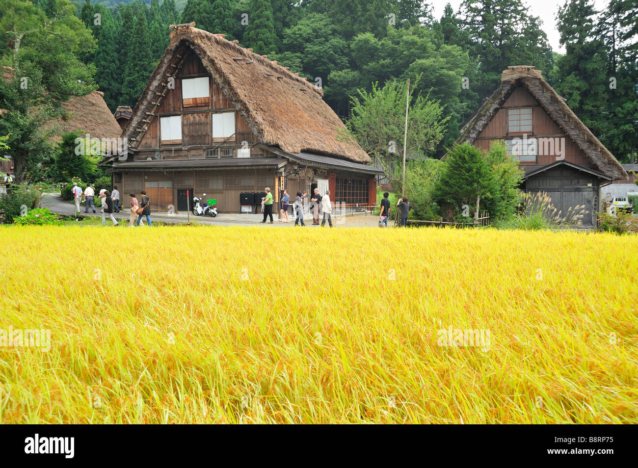 Furusato Furusato