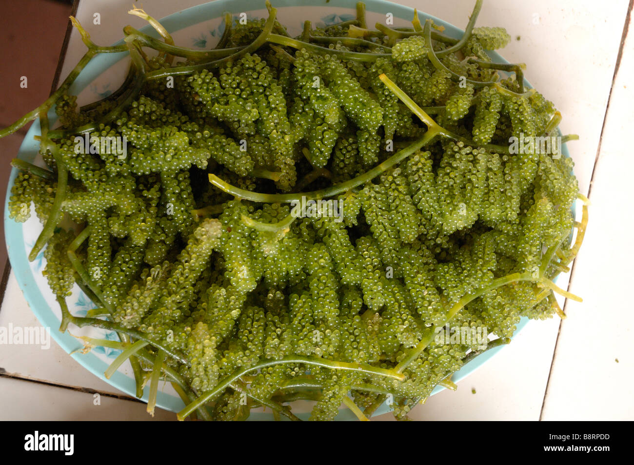 which seaweed is edible