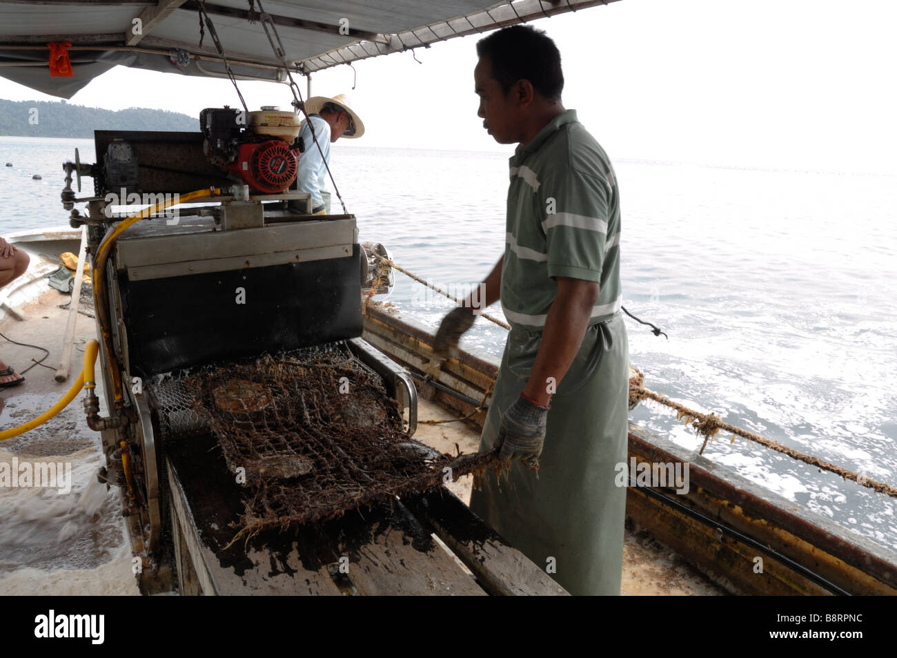 Mechanical cleaning of marine growth from gear on boat Japanese pearl