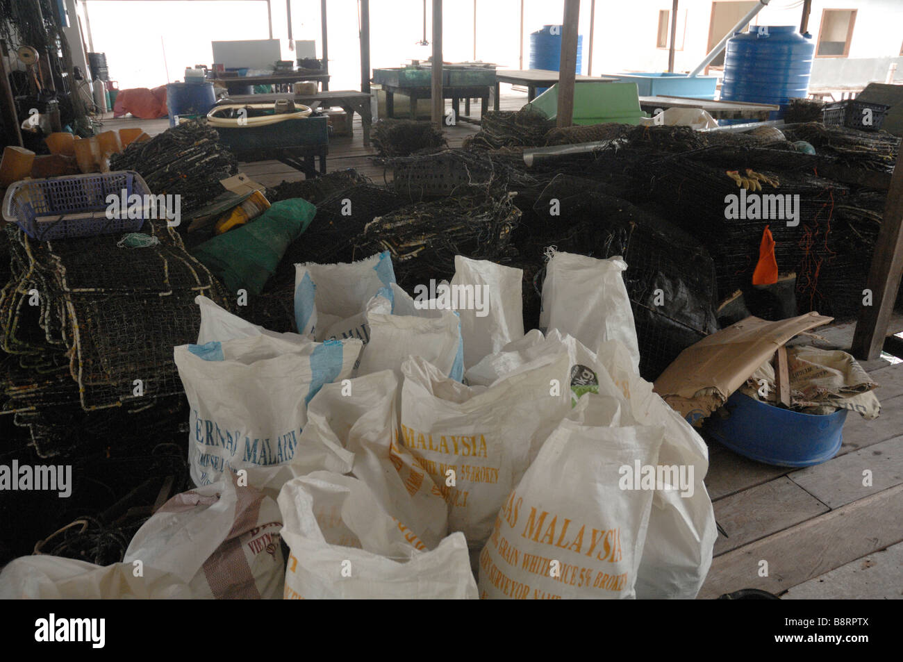 Japanese pearl farm Darvel Bay Sulu Sea Malaysia Sout east Asia Stock Photo