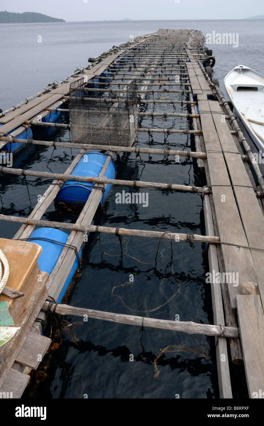 Japanese pearl farm Darvel Bay Sulu Sea Malaysia South east Asia Stock Photo