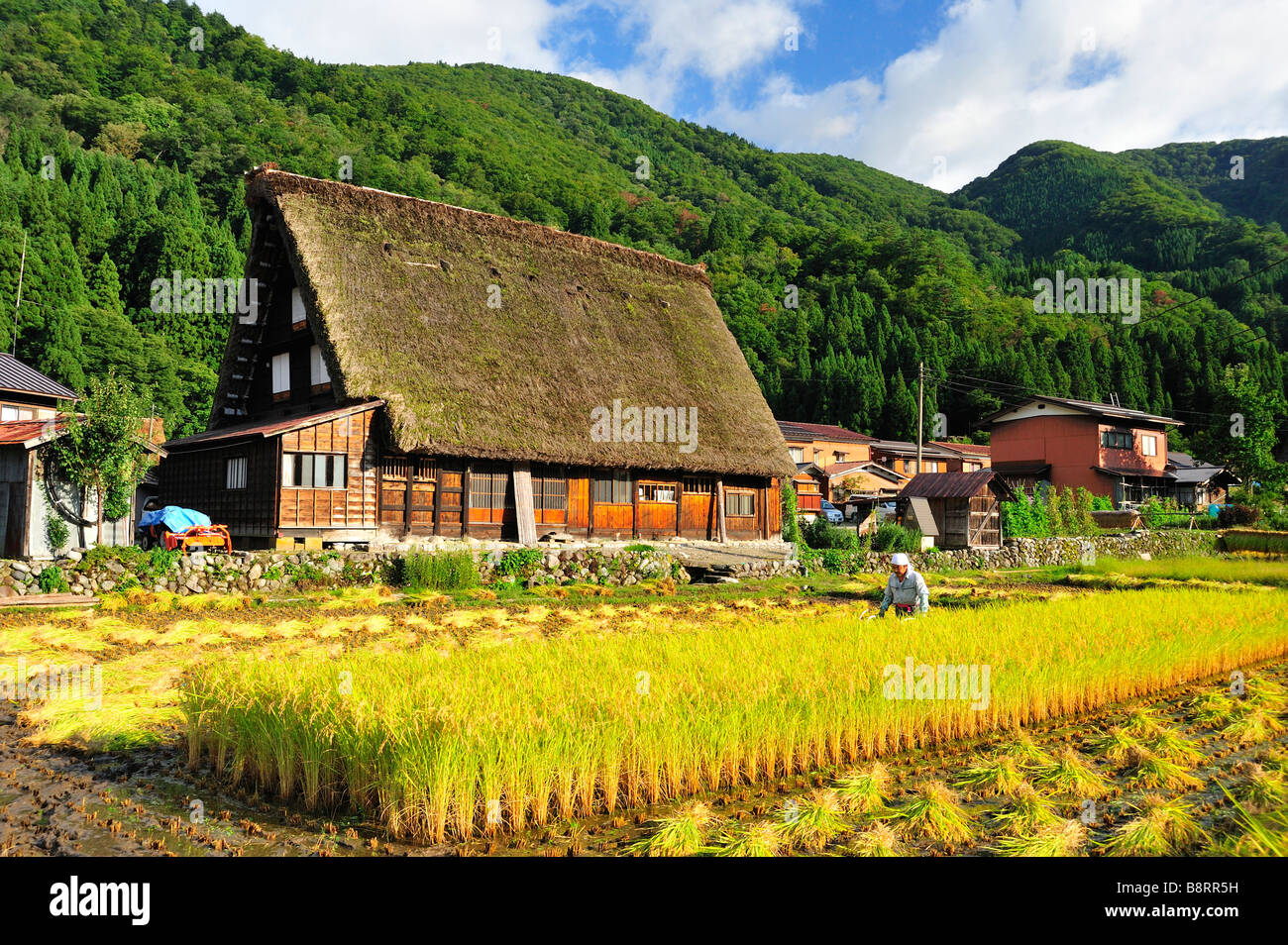 Farm, Shirakawa-go, Gifu Prefecture, Japan Stock Photo