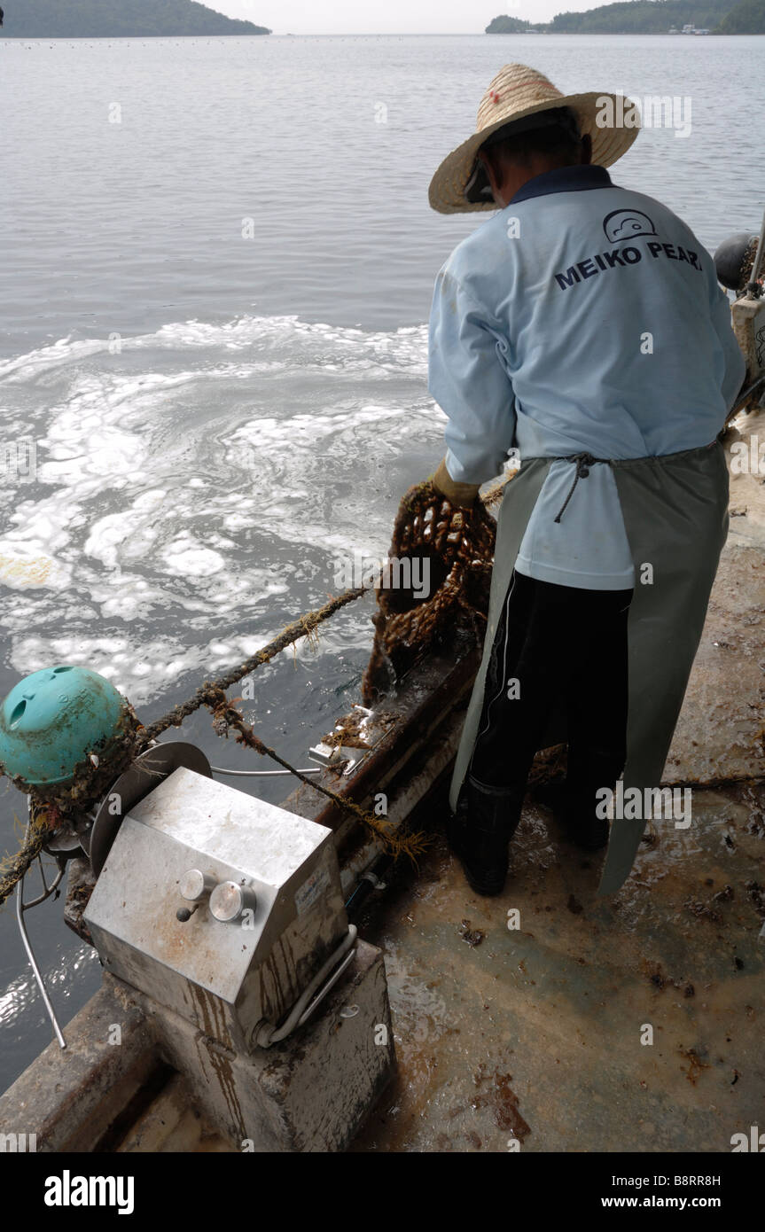 Mechanical cleaning of marine growth from gear on boat Japanese pearl