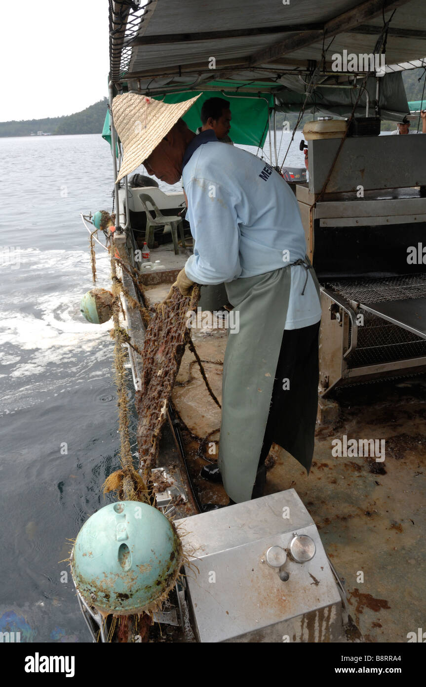 Mechanical cleaning of marine growth from gear on boat Japanese pearl