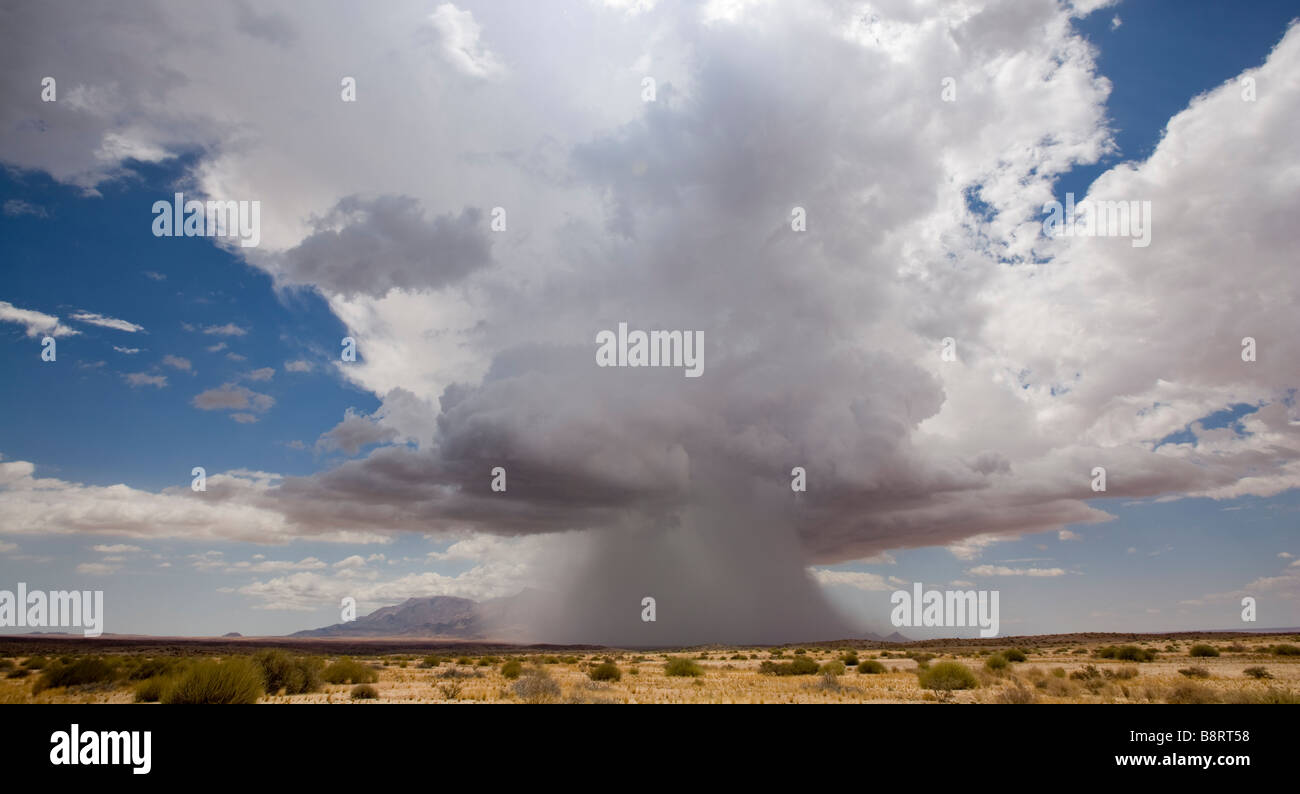 Africa Namibia Brandberg Nature Reserve Storm clouds and rain squall above Namib Desert during rainy season Stock Photo