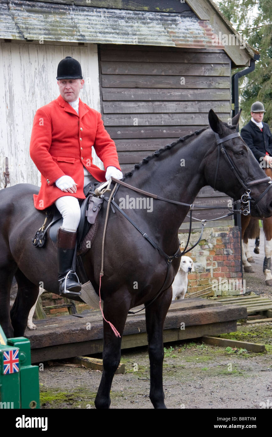 Huntsman of the Essex and Suffolk Hunt England Stock Photo