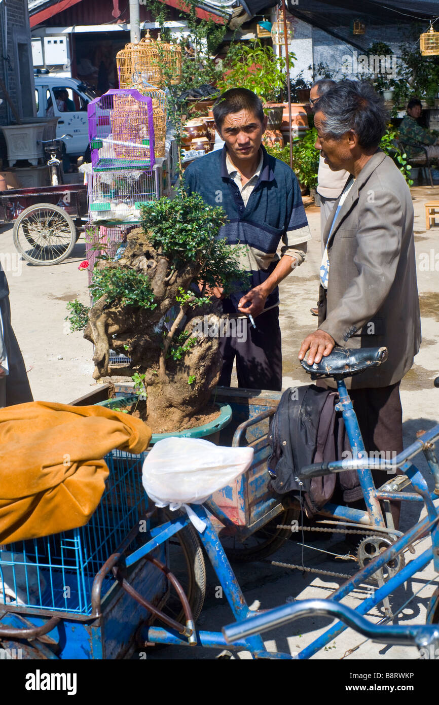 Selling bonsai trees on the market of Lijiang, Yunnan province, China