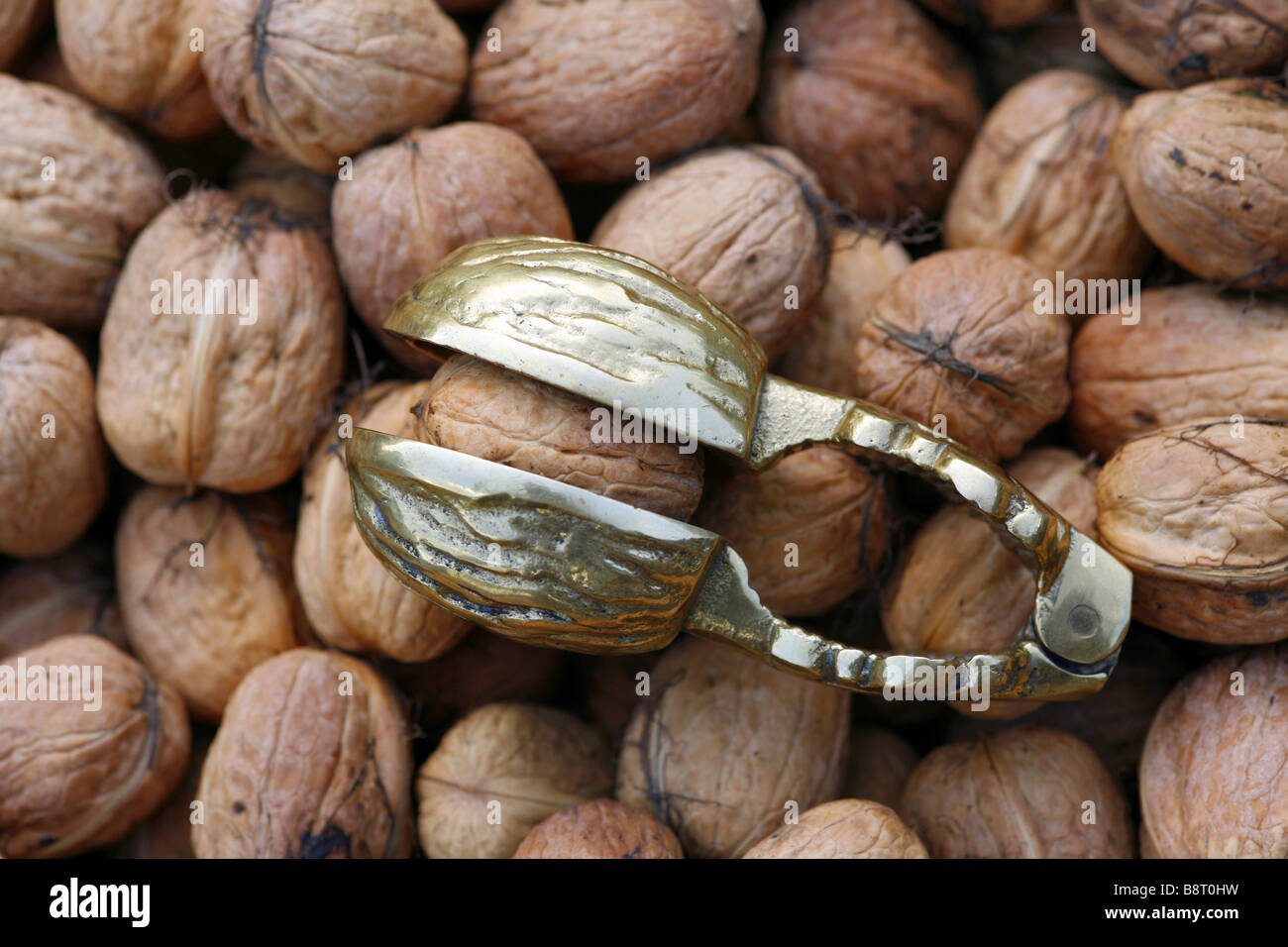 walnut (Juglans regia), walnuts with nutcracker Stock Photo