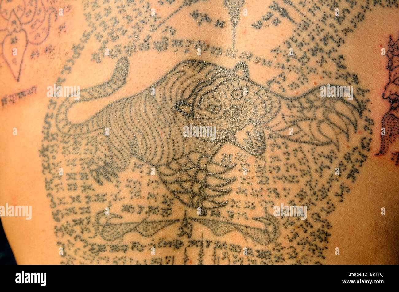 Tiger tattoo hires stock photography and images Alamy