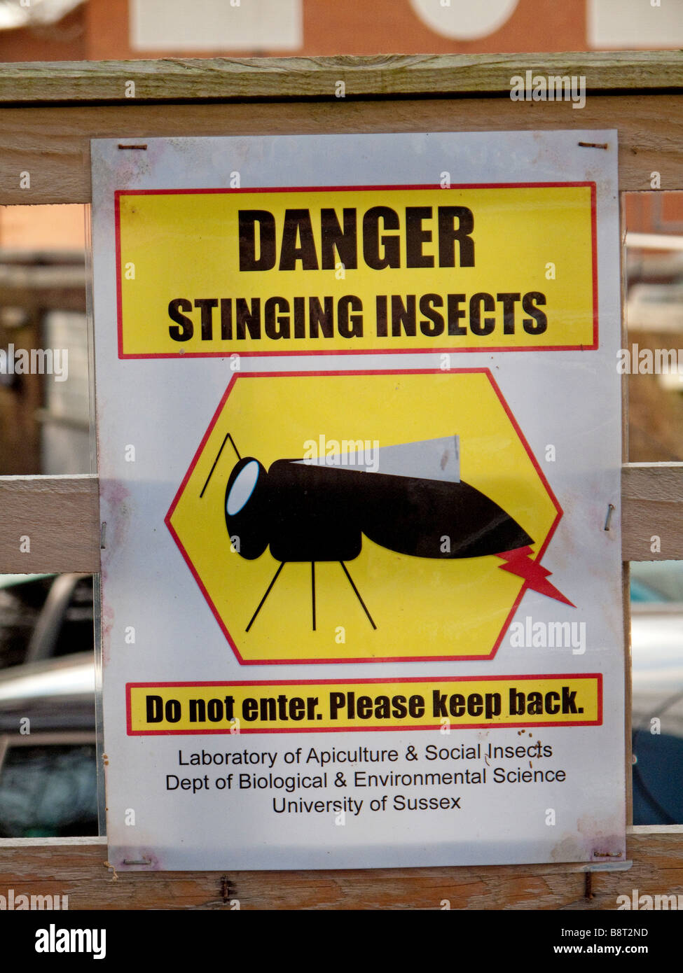 Sign warning of stinging insects outside a biological research area in University of Sussex Stock Photo