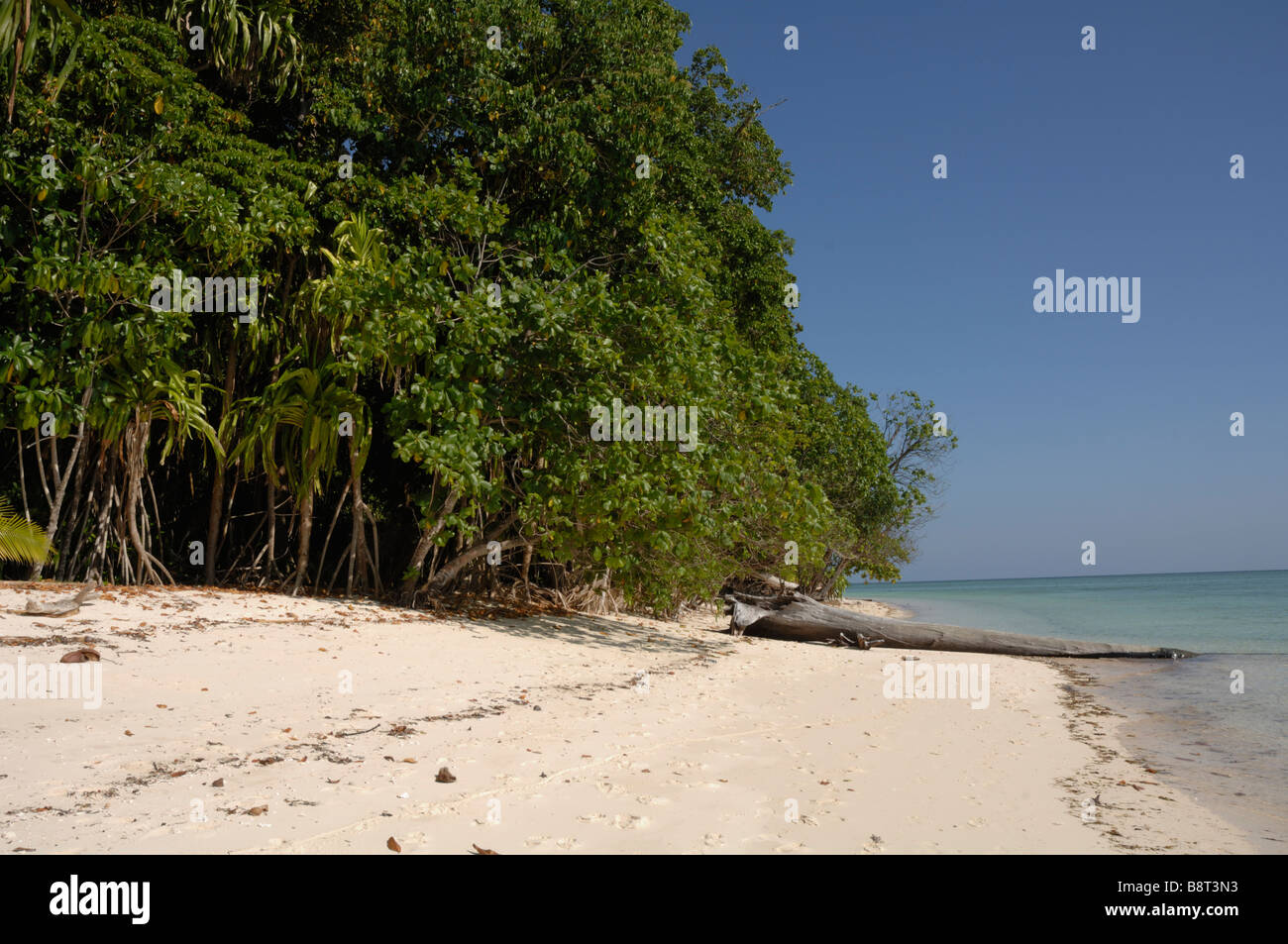 Shoreline Sipadan Malaysia Celebes Sea Borneo South east Asia Stock Photo