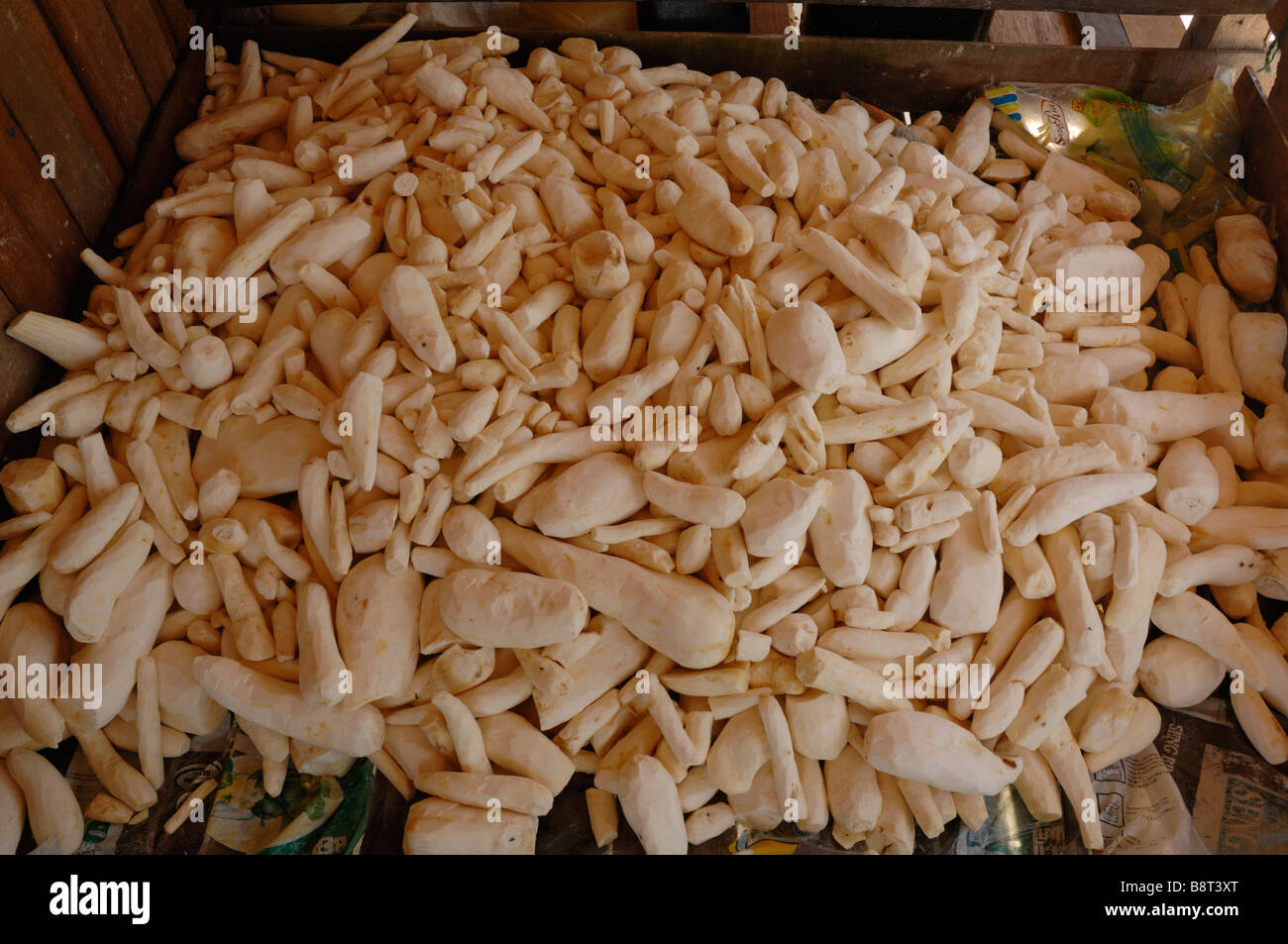 Peeled cassava root Manihot esculenta Pulau Maiga Semporna Sabah Malaysia Borneo South east Asia Stock Photo