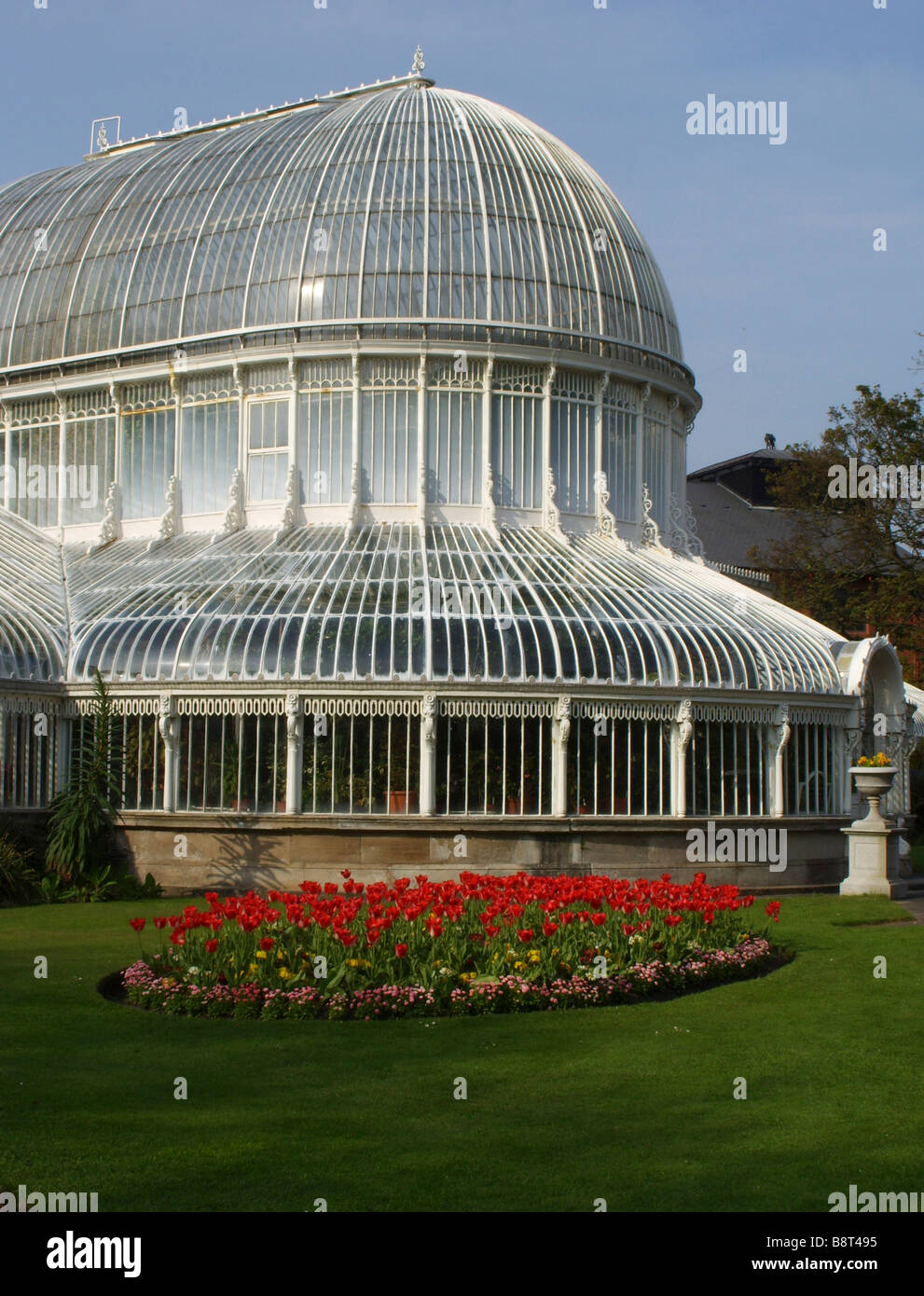 The Palm House in the Botanic Gardens in Belfast Northern Ireland Stock Photo