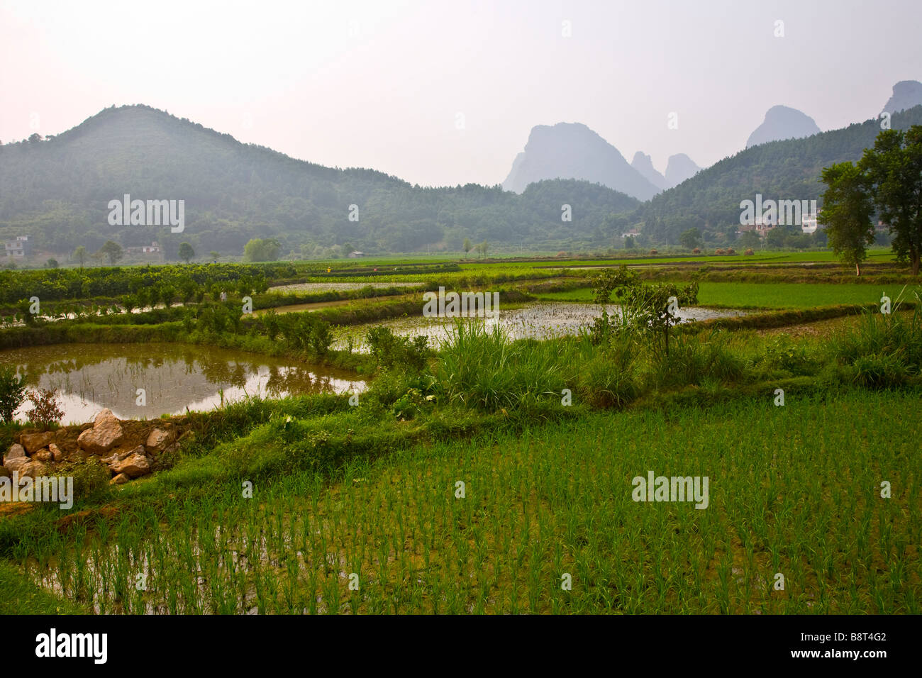 Karst Ponds High Resolution Stock Photography and Images - Alamy