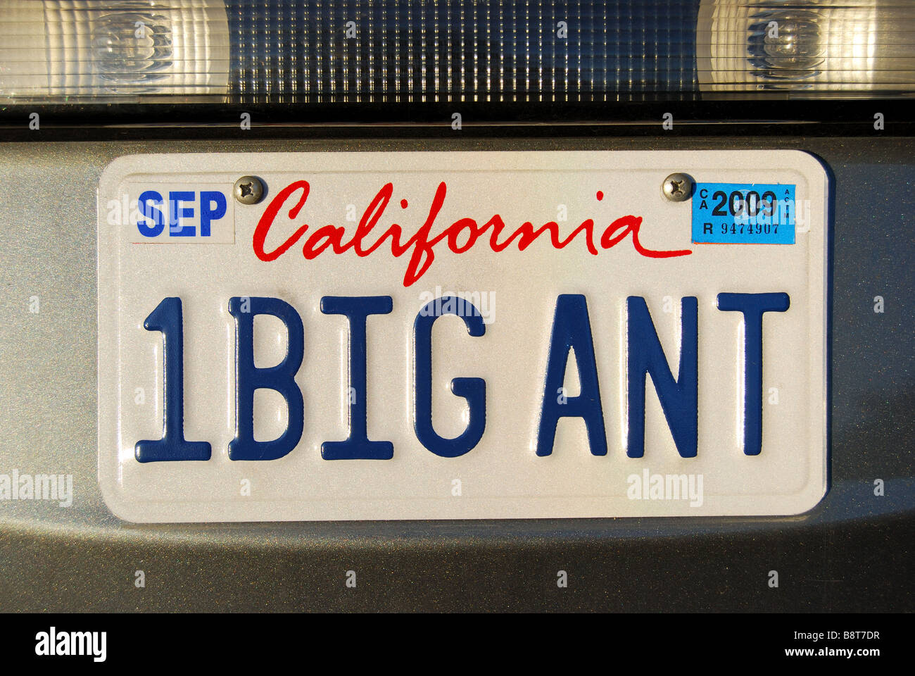 Personalised number plate, Downtown Los Angeles, Los Angeles