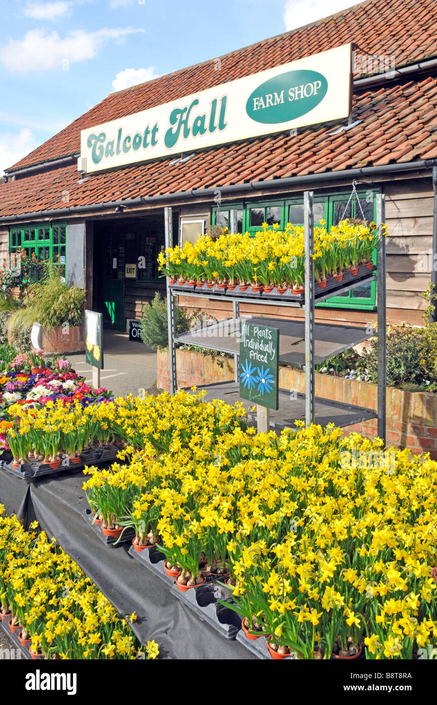 Calcott Hall Farm Shop and selection of garden plants for sale Stock
