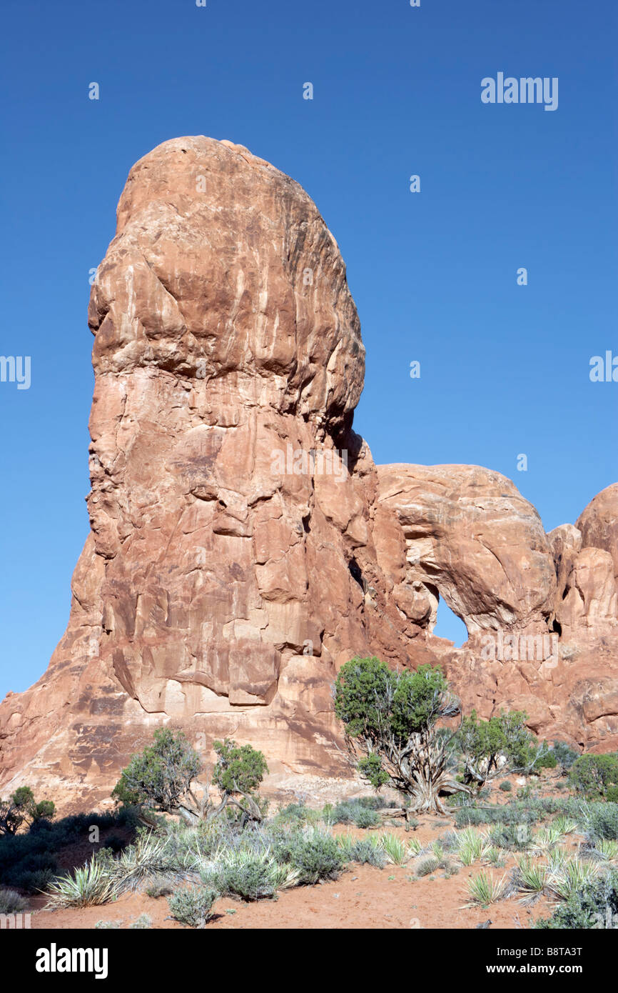 Parade of Elephants in Arches National Park Utah USA Stock Photo