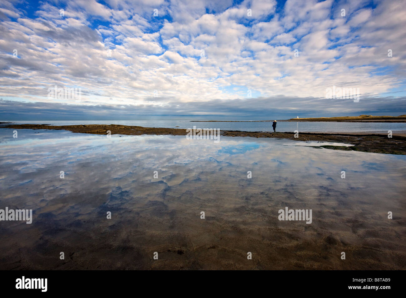 A birdwatcher dwarfed by the sea and sky at Sandham Bay, Holy Island, Northumbria UK Stock Photo