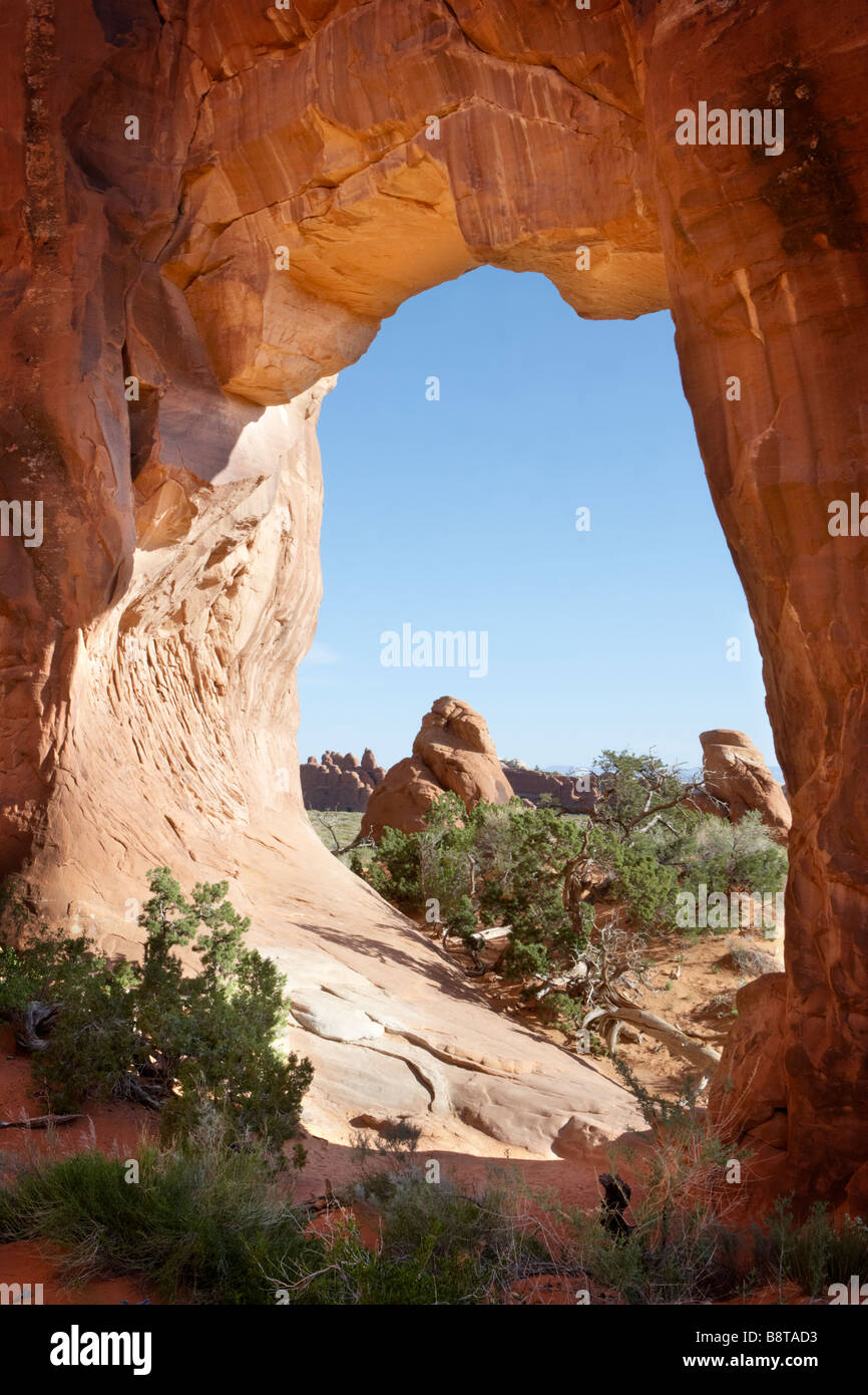 Pine Tree Arch in Arches National Park Utah USA Stock Photo