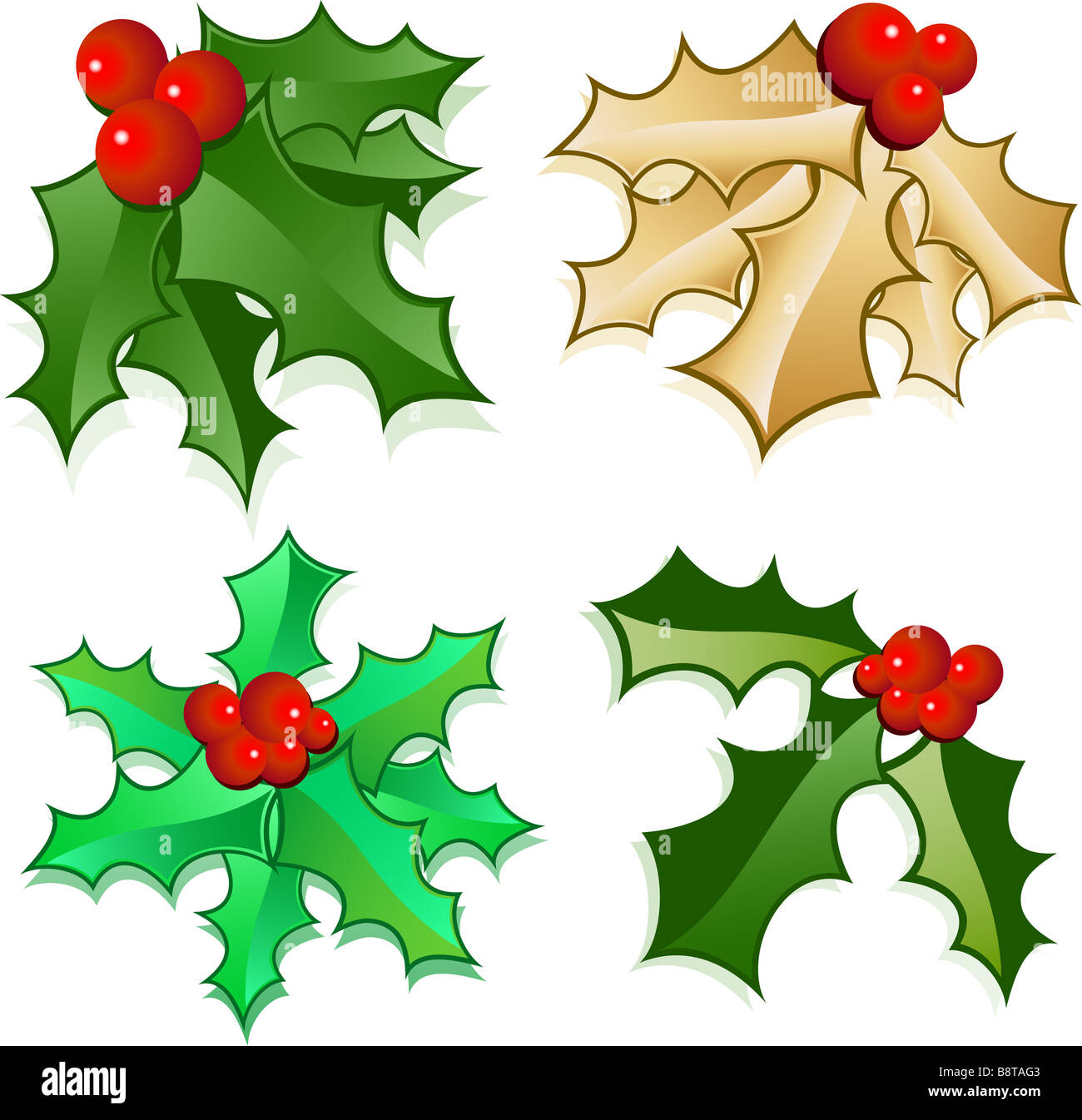 Holly leaves and berries Stock Photo Alamy