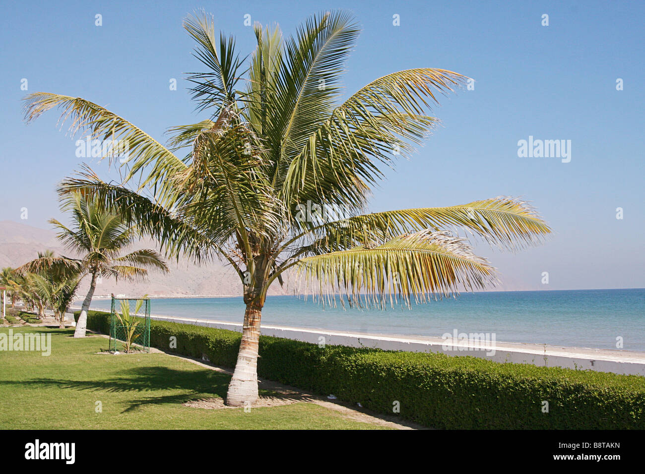 Sharjah beach Stock Photo Alamy