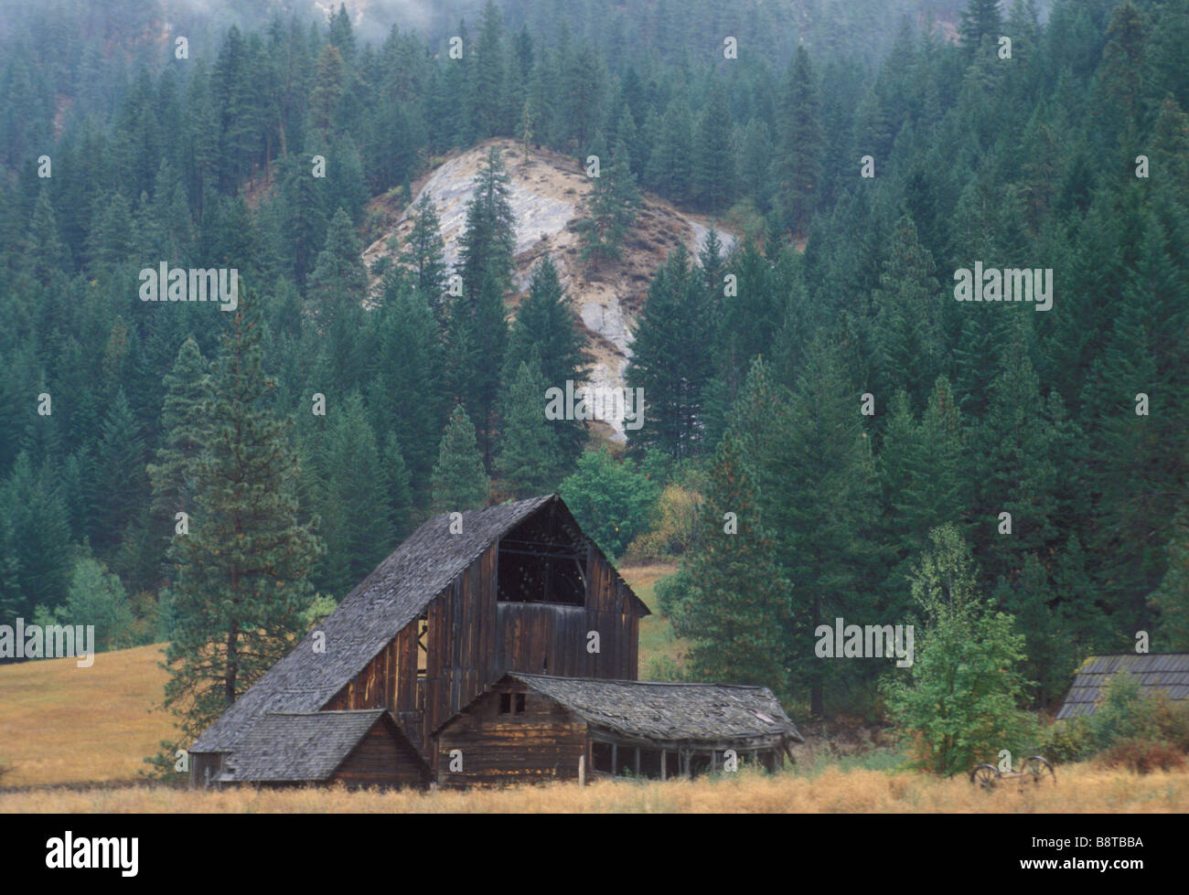 Old farm in the Wenatchee National Forest Stock Photo Alamy