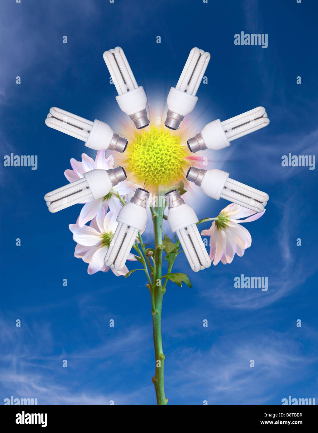 Energy saving lightbulb flower blue sky hires stock photography and