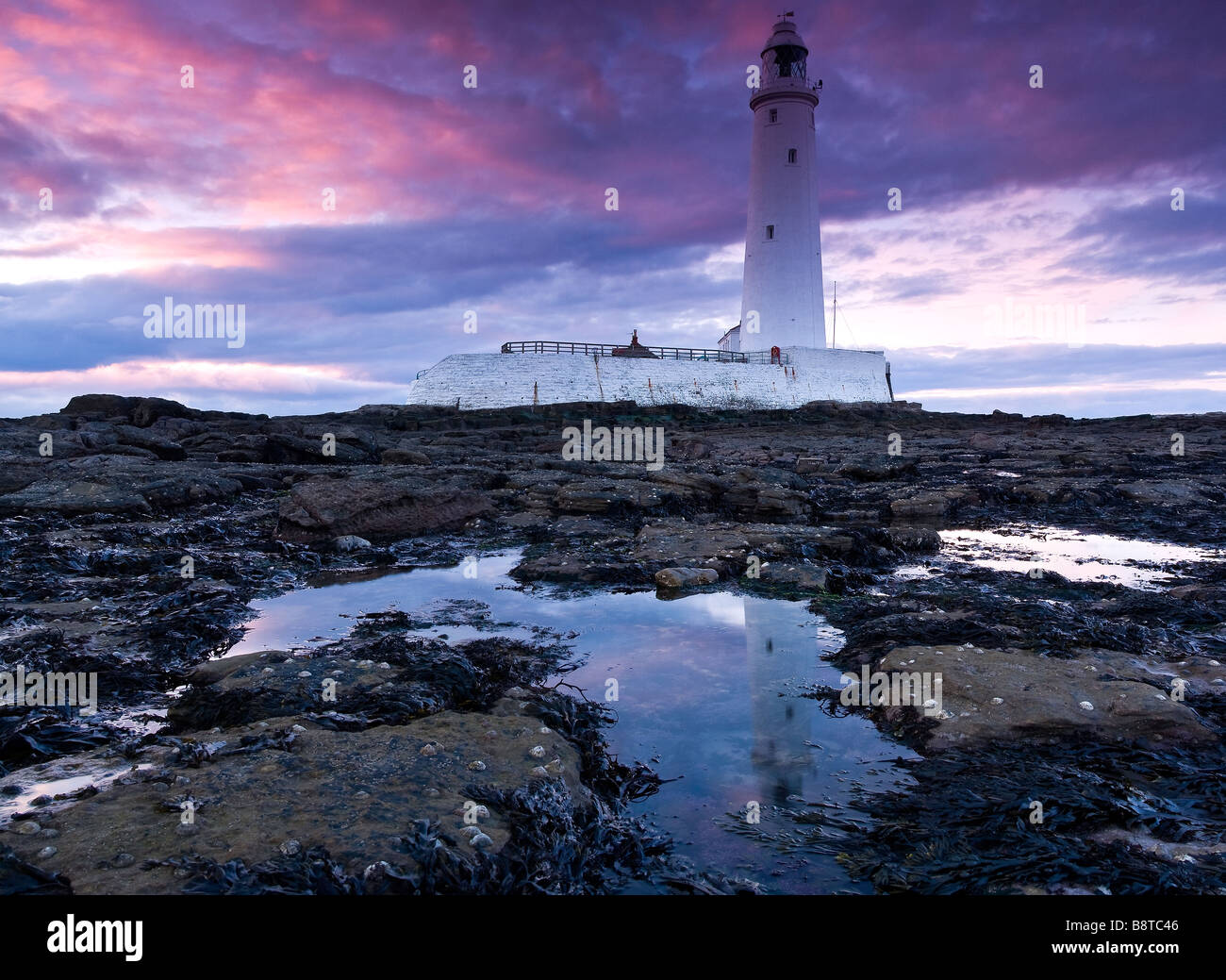 St Mary's Lighthouse at Sunset, built in 1898 Whitley Bay Tyne & Wear ...