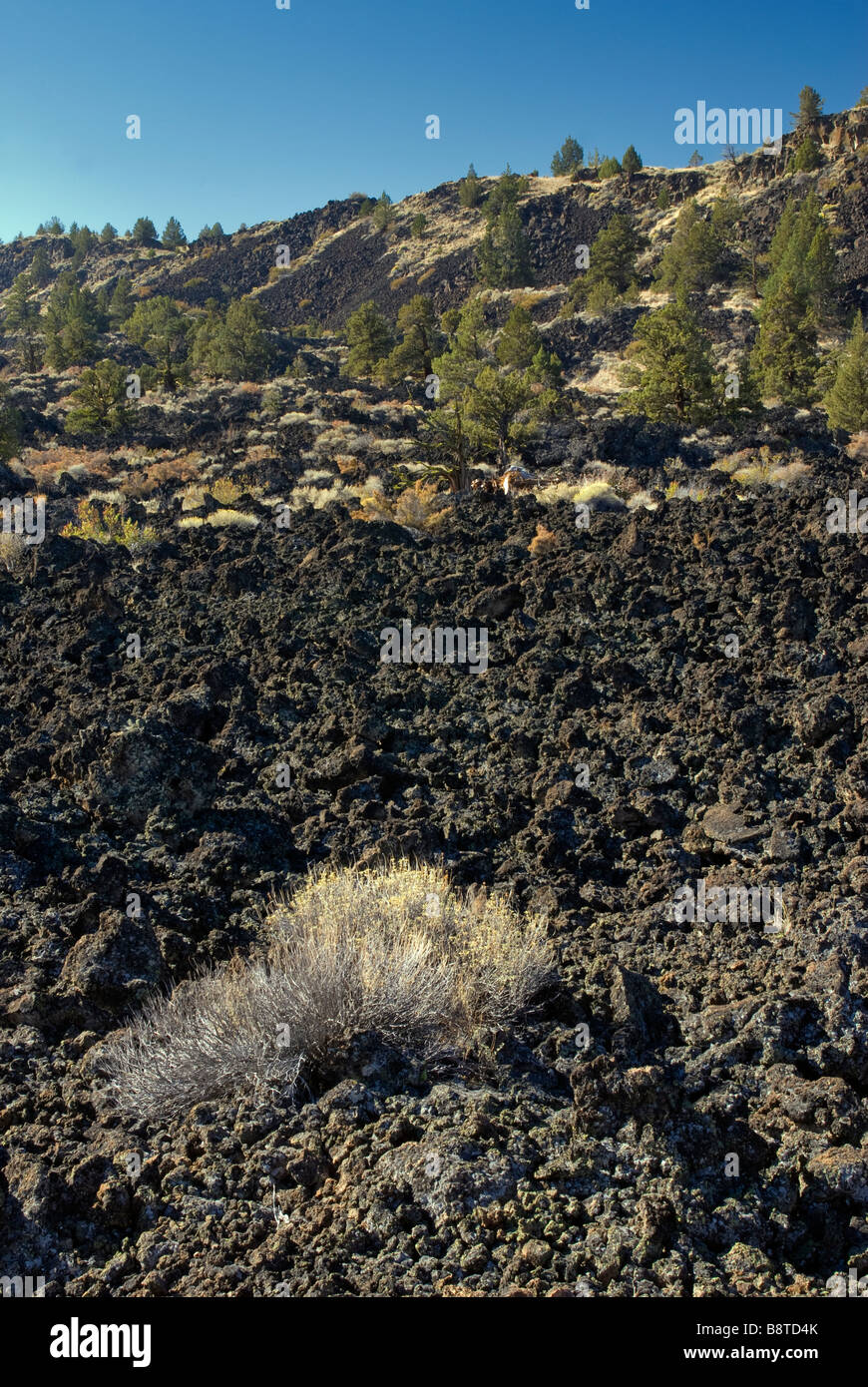 Devils Homestead Flow of lava at Lava Beds National Monument California
