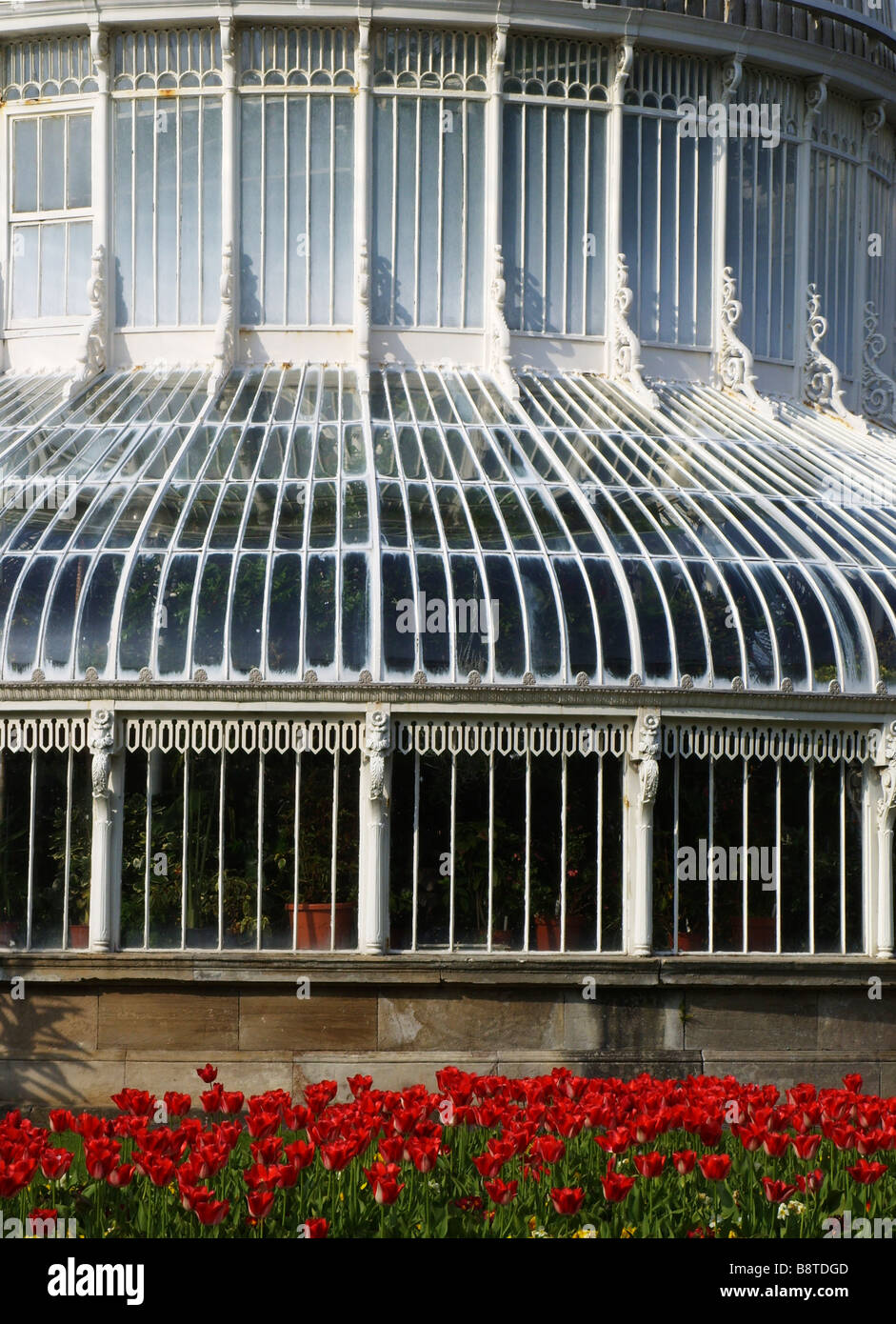 Close up of the Palm House in the Botanic Gardens in Belfast Northern Ireland Stock Photo