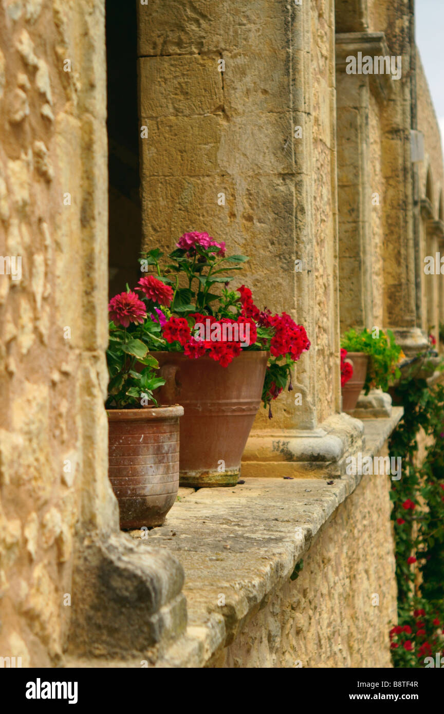 Geraniums and Pelargoniums in pots in the grounds of the Arkadi Monastery Rethymnon Stock Photo