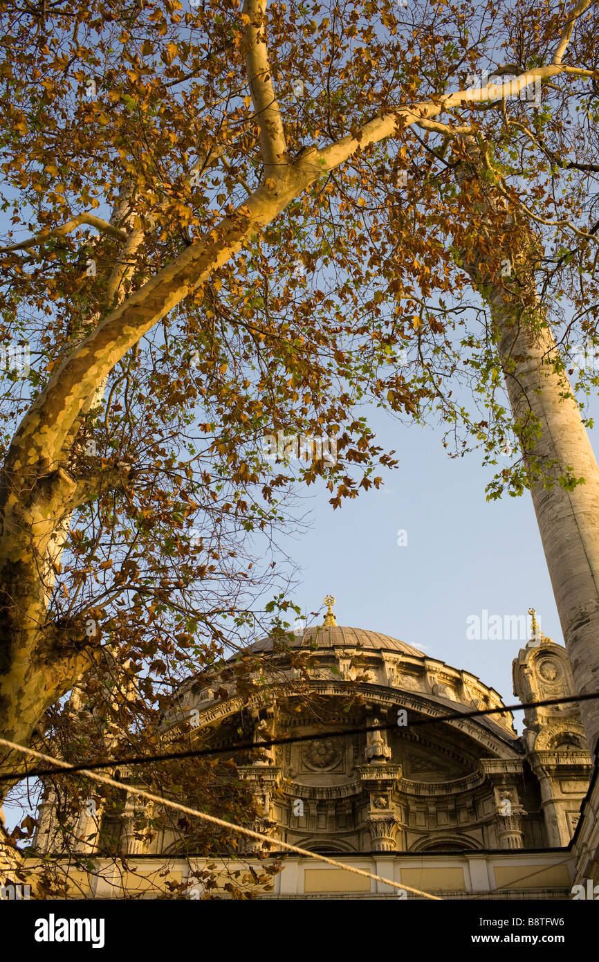 Dome of the Ortakoy mosque, Beksistas, Istanbul, Turkey. Stock Photo
