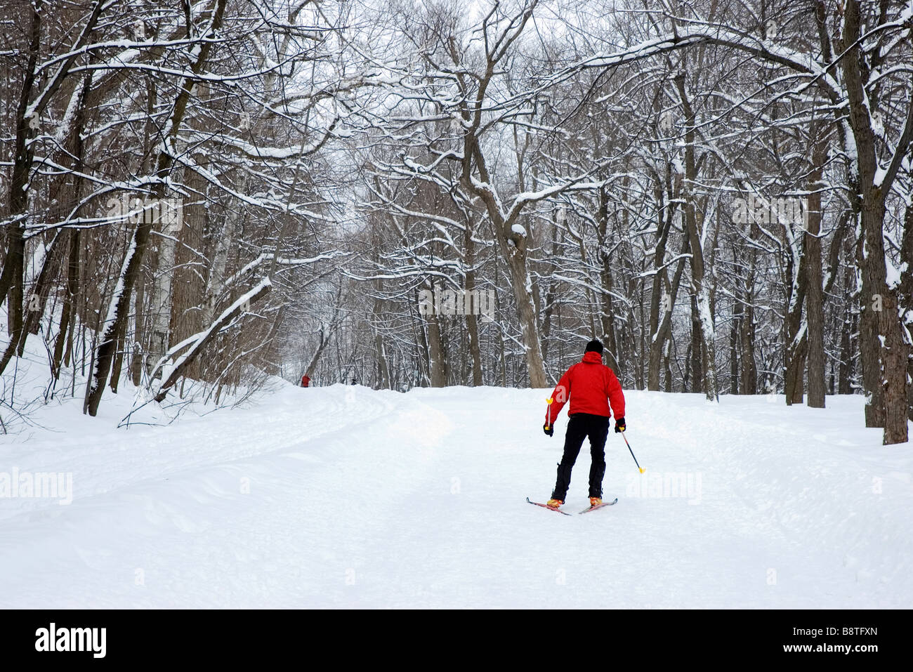 Cross Country skiing in Montreal, Quebec Stock Photo Alamy