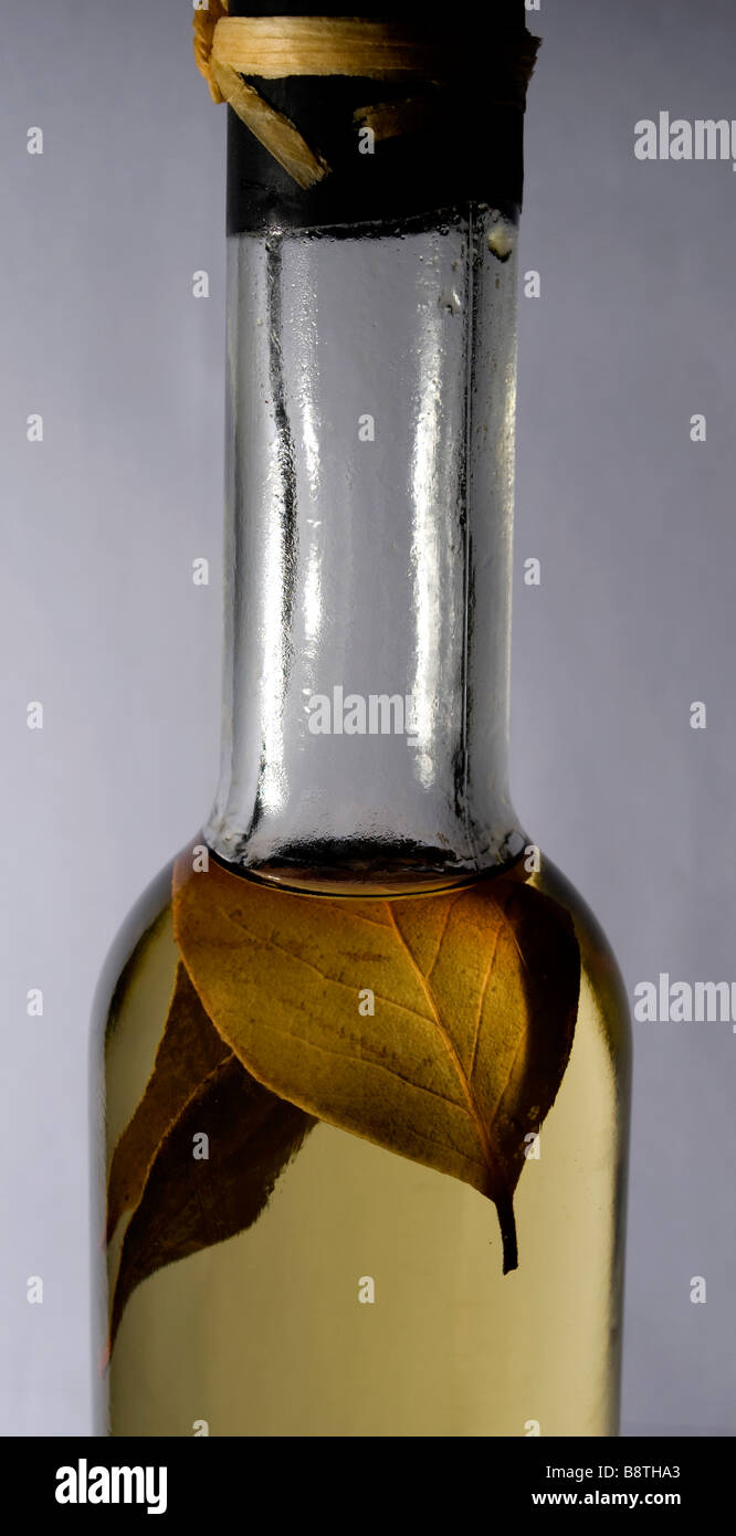 Bottle of olive oil infused with herbs and spices 3 Stock Photo Alamy