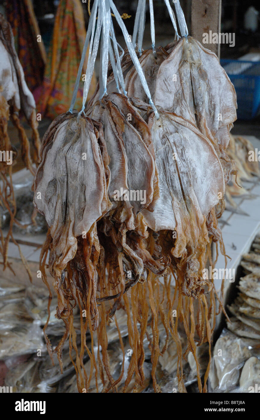 Dried squid in stall dried fish market Semporna Sabah Malaysia Borneo