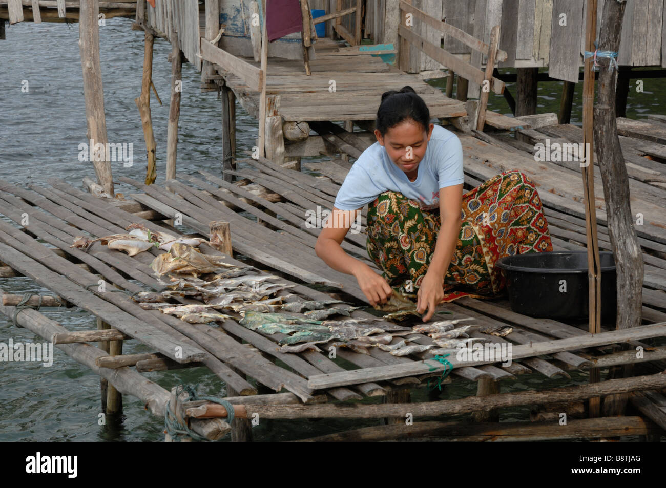 Suluk woman arranging fish drying on wooden house platform Pulau Bodgaya Semporna Sabah Malaysia Borneo South east Asia Stock Photo