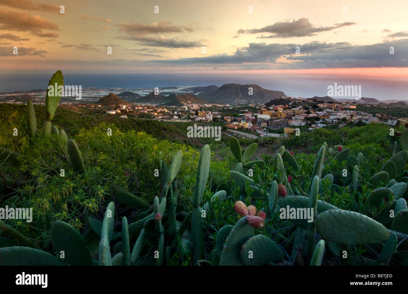 Sunset over the mountain village of Arona with typical cacti in foreground and resort of Los Cristianos behind, Tenerife Spain Stock Photo
